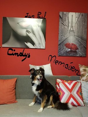 cover image of Cindys Memoiren